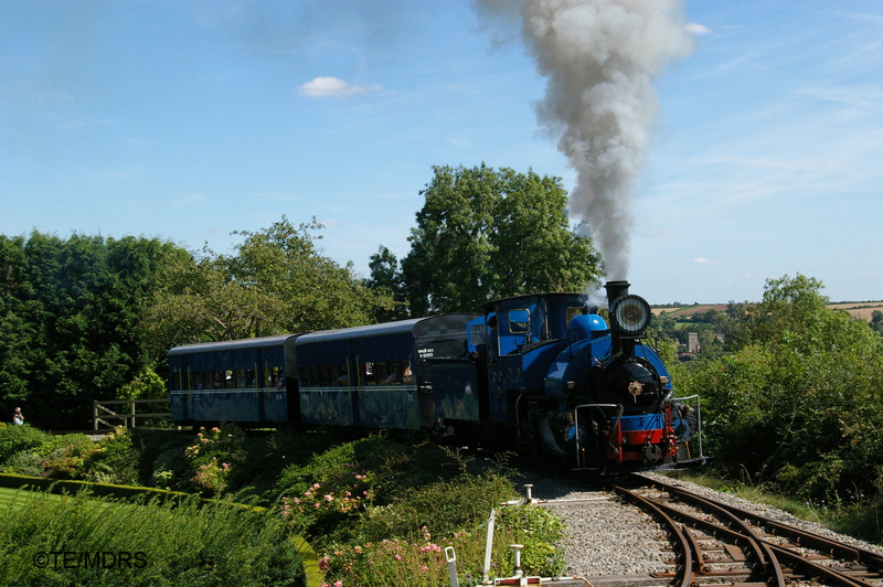 Number 19 climbing past the garden