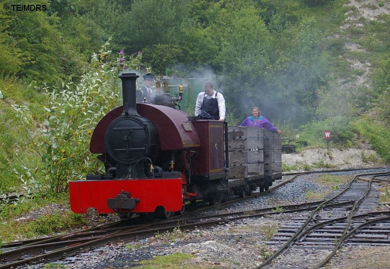 Peter Approaching Brockham Station