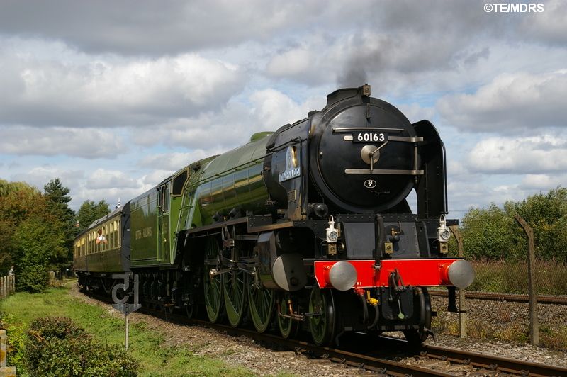 60163 on Didcot's Main Demonstration Line (Tim Edmonds)